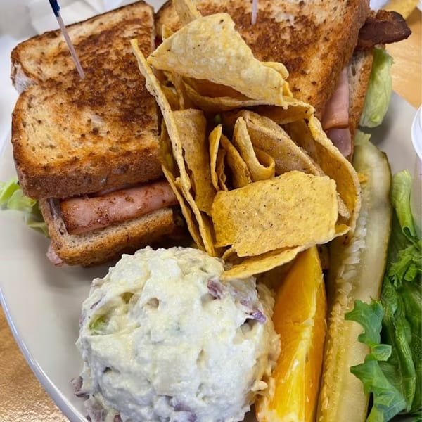 A toasted sandwich with chips, potato salad, orange slice, pickle spear, and lettuce on a plate.